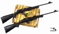 Rossi 7022