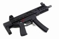 CS/LS7