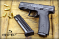 CZ P-10 F.png